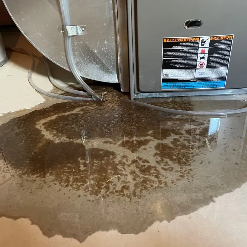 Pipe Burst and Leak Restoration in Gage County, NE