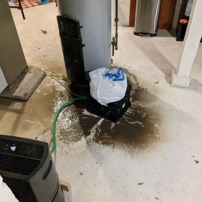 Sewage Backup Cleanup Service in Gage County, NE